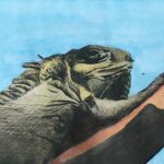 crosshatched ink and watercolor iguana on a branch